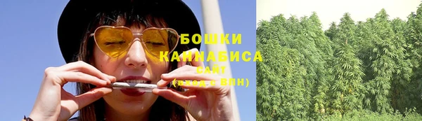 тгк Нея