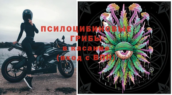 крисы Нефтекумск