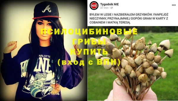 MESCALINE Вязьма