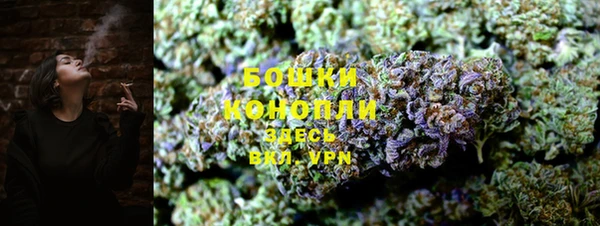 молекула духа Вязники