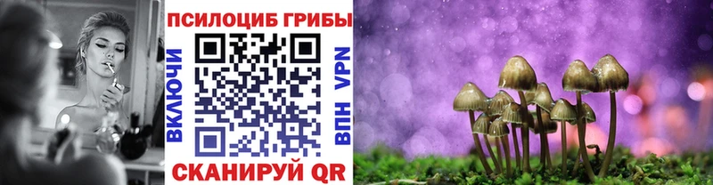 купить Олёкминск Галлюциногенные грибы Cubensis
